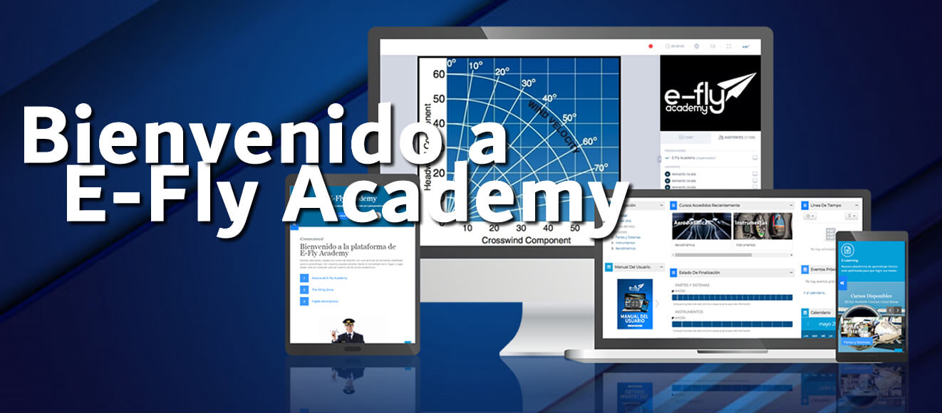 Course Image Introducción a E-Fly Academy
